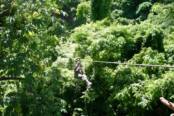 Zip Lining - Canopy - Cola de Mono - Img